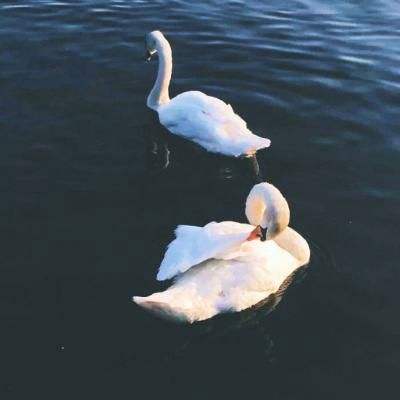 雷竞技app官方版下载