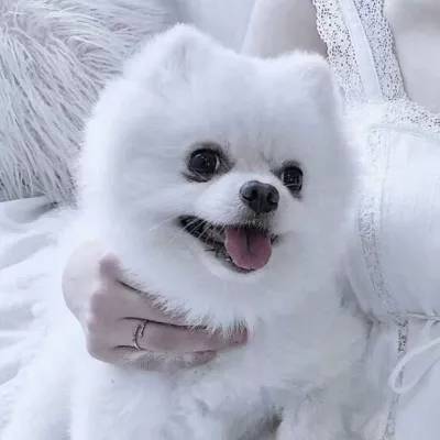 天天中彩票手机app下载