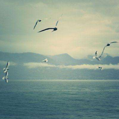 大发彩票app下载