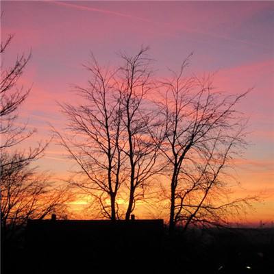 ag入口官网登录